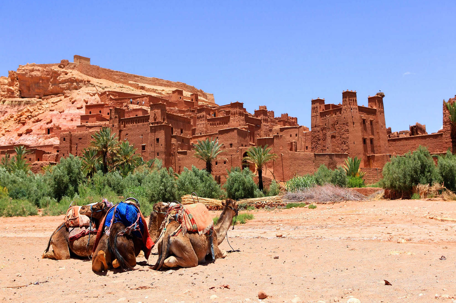1 Day Trip To Ouarzazate A t Ben Haddou Kasbahs From Marrakech 