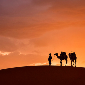 8 days tour from casablanca to Imperial Cities and Merzouga